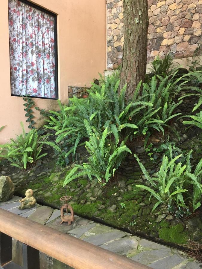 Mi Casa De Valle Valle de Bravo Kültér fotó