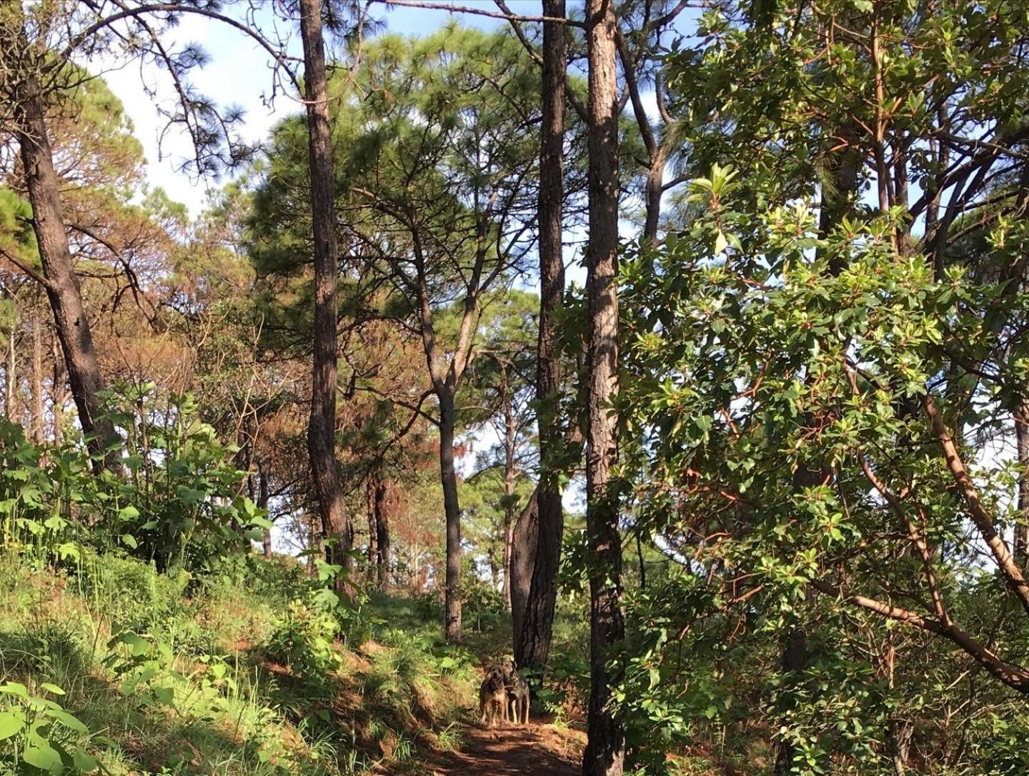 Mi Casa De Valle Valle de Bravo Kültér fotó